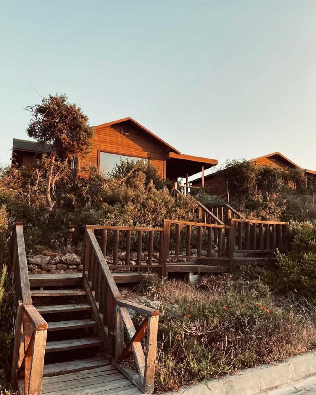 Zambak Holiday Village & Restaurant Superb Seafront Location ! Agios Georgios  외부 사진